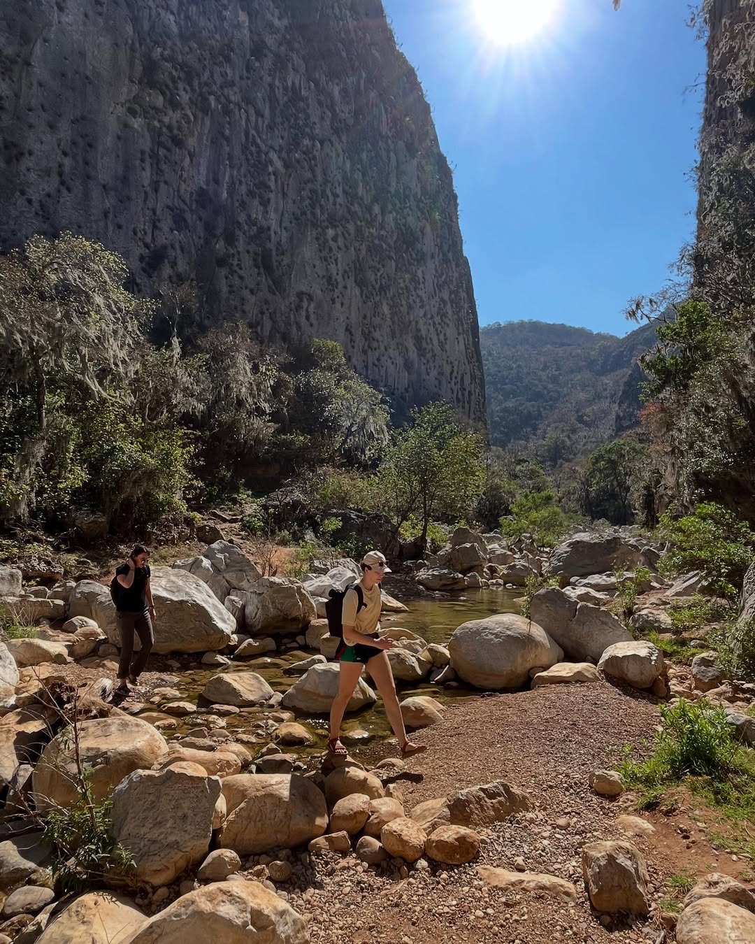 titulo_imagen_pagina_home_1